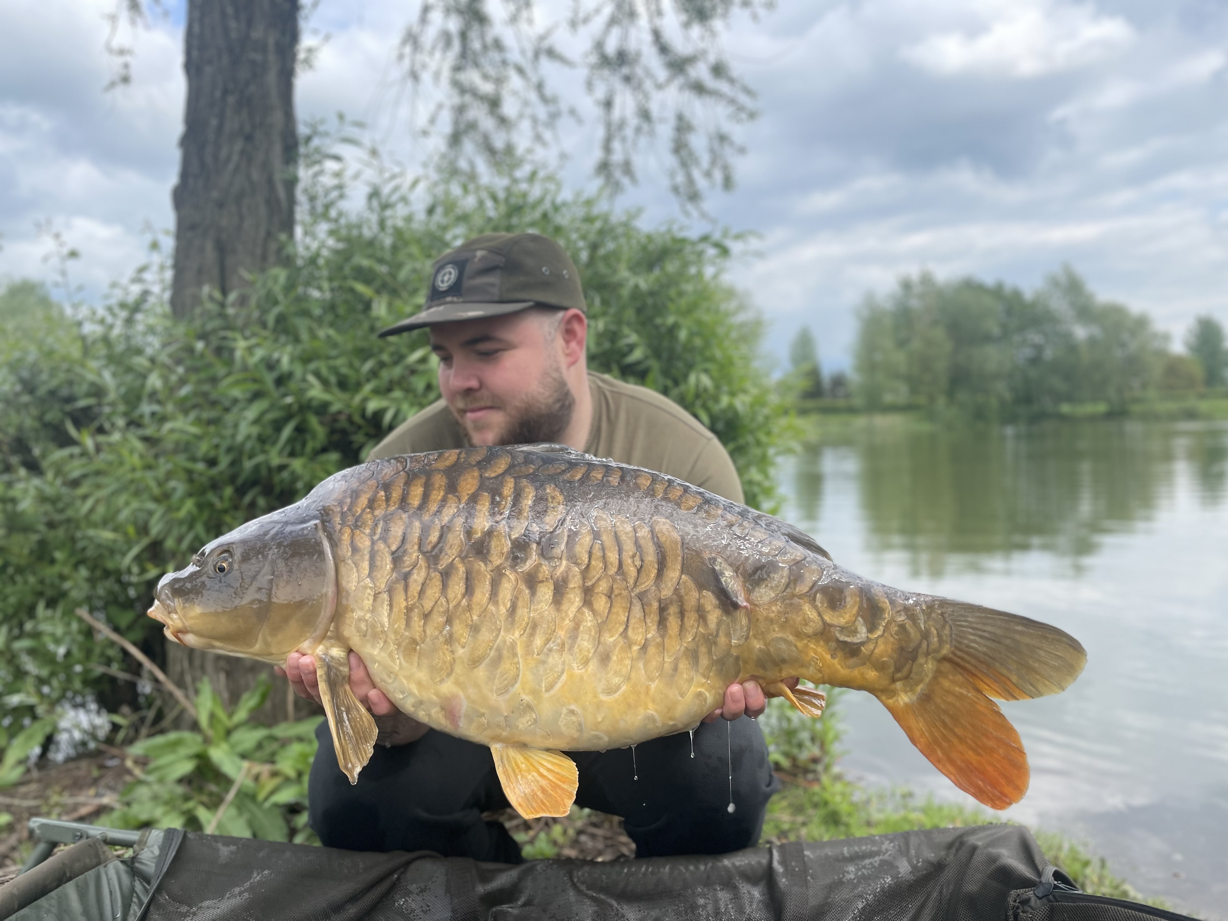 Manor Farm Scaly Mirror Total Carp